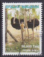Timbre Oblitéré N° 1868(Yvert) Madagascar 2004 - Faune De Morondava, Autruches Et Lémurien - Madagascar (1960-...)