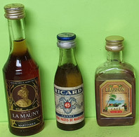 3 MIGNONNETTES - Rhum , Ricard , Punch Café - Apéritif Alcool Liqueur - Années 80 - Pour Collection Non Buvable /34 - Miniaturflaschen
