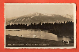 ZPE-11 Crans-Montana  Paysage Et BElla Tola  Troupeau De Chèvres.  Circulé 1920  Soc. Graph. 3766 - Crans-Montana