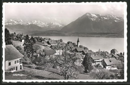 AK Hilterfingen, Gesamtansicht, Blick Auf Die Alpengipfel - Hilterfingen