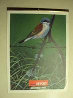 D 71 - POSTKALENDER 1992 - VOGELS - Grand Format : 1991-00