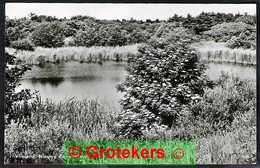 VLIELAND Nieuwe Eendenkooi 1964 - Vlieland