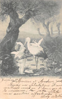 Cigogne Et Colombe, Cupidon, Faire-part De Naissance - Geburt