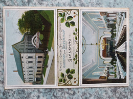 AK Glauchau Gasthof Zum Lindenhof Ballsaal Gaststätte Restaurant Gelaufen 1910 - Glauchau