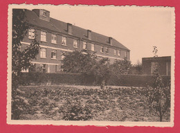 Ath - Clinique-Maternié Des Soeurs De Charité - Une Façade Vue Du Jardin ( Voir Verso ) - Ath