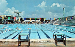 Florida Fort Lauderdale Swimming Hall Of Fame Swimming Pool - Fort Lauderdale
