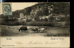 CP ( Durbuy, Paysage Sur L'Ourthe) Obl. DURBUY 26/08/1904 - Rural Post