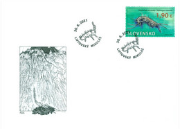 Slovakia - 2021 - Nature Protection - Demänovská Cave Of Liberty - Niphargus Tatrensis - FDC (first Day Cover) - FDC