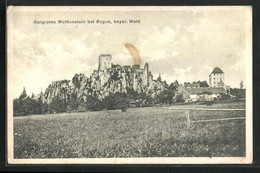 AK Regen / Bayer. Wald, Burgruine Weissenstein - Regen