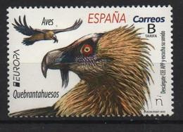 Spain 2019. Europa - CEPT. Birds. Fauna. MNH - 2011-2020 Nuovi & Linguelle