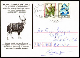 Poland Postcard "Opole Zoological Garden" - Zebras