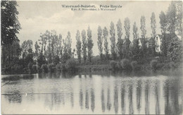 Watermael - Boitsfort  *  Pêche Royale - Watermael-Boitsfort - Watermaal-Bosvoorde