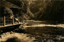 84 * Fontaine De Vaucluse - Autres & Non Classés