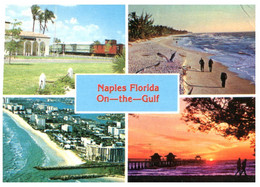 (UU 3) USA - Naples Florida (posted To France 1981) - Naples