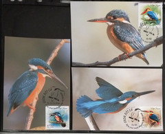 Full Set Of 03 Vietnam Viet Nam Maxi Maxicards 2020 : Kingfisher Bird / Birds (4) - Vietnam