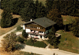 Chalet Le Refuge - Mont-Tramelan (038) * 22. 6. 1993 - Tramelan