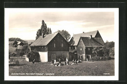 AK Herrndorf-Hetzdorf, Blick Zum Landheim - Hetzdorf