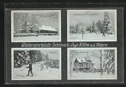 AK Schöneck / Vogtland, Skiläufer, Hotel Tannenhaus Im Rauhfroste, Villa Waldesruh - Vogtland