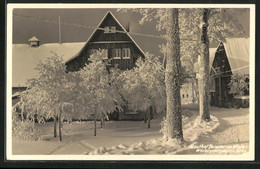 AK Dippoldiswalde / Erzgeb., Gasthof Geissler Im Winter - Dippoldiswalde