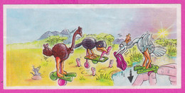 264463 /  Instruction Kinder Surprise - 2 ANIMALS Worm Common Ostrich Birds  7.5  X 3.6 Cm. - Istruzioni