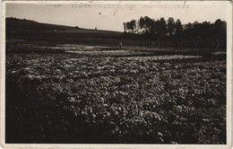 CPA AK Kulmbach Vue Generale GERMANY (1133712) - Kulmbach