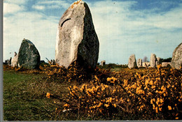 COULEURS DE BRETAGNE MENHIRS DANS LA LANDE FLEURIE - Dolmen & Menhirs