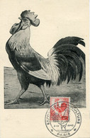 FRANCE CARTE MAXIMUM DU N°633 COQ D'ALGER AVEC OBLITERATION EXPOSITION D'AVICULTURE 3 IV 1945 PARIS - 1944 Coq Et Marianne D'Alger