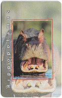 S. Africa - MTN - African Animals - Hippopotamus, R15, Solaic, Cn. Short, 1999, 100.000ex, Used - Afrique Du Sud
