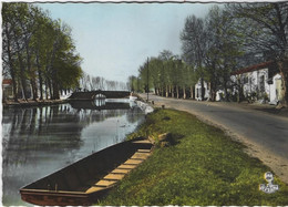 CAPESTANG      LE CANAL DU MIDI   ANNEE 1958 - Capestang