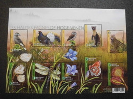 België Belgium 2017 Natuurreservaat De Hoge Venen / High Fens Nature Reserve - Buzin Birds Animals Flowers Insects - Neufs