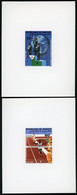 DJIBOUTI 2 Epreuves De Luxe Sur Papier Glacé N° 614 Et 615 Coupe Du Monde De Marathon HIROSHIMA 1985 - Athletics