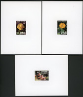 DJIBOUTI 3 Epreuves De Luxe Sur Papier Glacé N° 564 à 566 Fleurs COTONNIER MORINGA IPOMEE 1983 - Yibuti (1977-...)