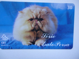 BRAZIL USED CARDS ANIMALS  CAT CATS - Cats