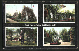 AK Burgstädt, Park Herrenhaide - Burgstädt