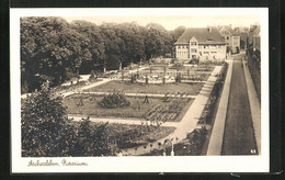 AK Aschersleben, Rosarium Im Sonnenschein - Aschersleben