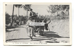 Viana Do Castelo - Tipos Regionais Em Uma Estrada, Cattle Cart - 1960's Used Portugal Real Photo Postcard - Viana Do Castelo