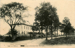 La Réole * Route Et école D'agriculture Pratique * Attelage - La Réole