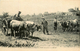 La Réole * Une Scène Champêtre Au Mirail * Le Travail Aux Champs * Attelage Boeufs * Paysans - La Réole