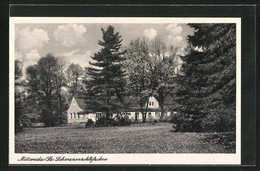 AK Mittweida / Sachsen, Gasthaus Schwanenschlösschen - Mittweida