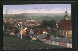 AK Rochlitz / Sachsen, Blick Von Der Bergwiese Auf Den Ort - Rochlitz