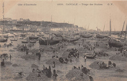 35-CANCALE- TRIAGE DES HUITRES - Cancale