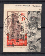 !!! CAMEROUN, N°38 OBLITERE SUR FRAGMENT DE CPA - Used Stamps