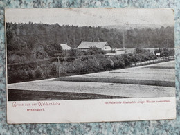 AK Bennewitz Bei Wurzen OT Mark Ottendorf Gruß Aus Der Waldschänke Gaststätte Restaurant Lokal Gasthof Bei Machern - Wurzen