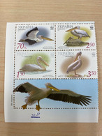 Ukraine 2007 Block WWF Pelican Birds Animals Bird Animal Fauna W.W.F. Organizations Pelicans Stamps MNH - Pélicans