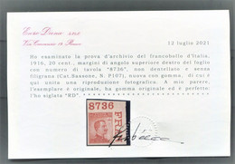 REGNO 1916 20 C. N.D. SENZA FILIGRANA ANGOLO DI FOGLIO CON NUMERO DI TAVOLA N. P107  * GOMMA ORIGINALE CERT, DIENA - Neufs