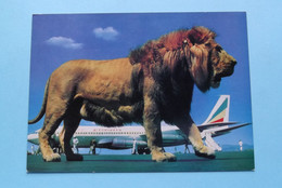 ETHIOPIAN Airlines > ( Photo Hapte Selassie ) Anno 19?? ( Voir / See Photo ) ! - Ethiopia