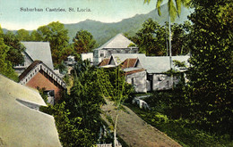 St. Lucia, Suburban Castries, Um 1910/20 - Sainte-Lucie