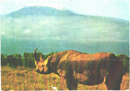 Rhinoceros And Kilimanjaro Volcano - Rhinozeros