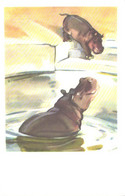 N.Stroganova:M.Aleksejev:Hippopotamuses In Zoo, 1969 - Ippopotami