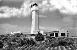 85 * La Tranche Sur Mer - La Tranche Sur Mer